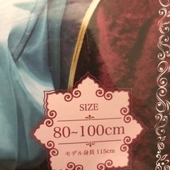 ☆新品*未使用*未開封☆ プリンセス コスプレ 80cm 〜 100cmの画像