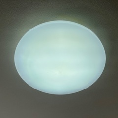 シーリングライトの画像