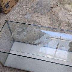 水槽 メダカや金魚にの画像