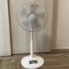 家電 季節、空調家電 扇風機