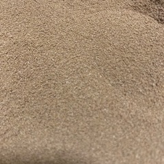 メダカの餌 リッチA 100ｇの画像