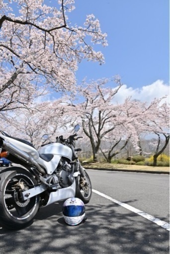 ホーネット250 1996年式　コメント、お問い合わせお待ちしております