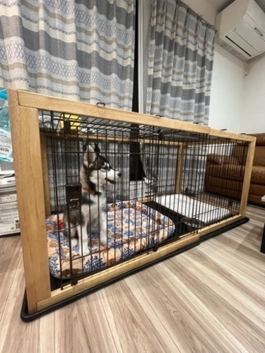 犬　大型　ケージ　ゲージ