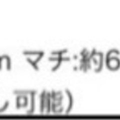 靴/バッグ グリーンショルダーバッグ ②の画像