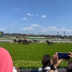 競馬仲間！予想や現地観戦しませんか〜