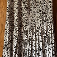 ロングスカート       
の画像