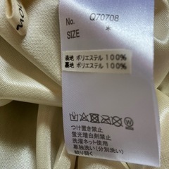 ロングスカート       
の画像