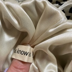 ロングスカート       
の画像