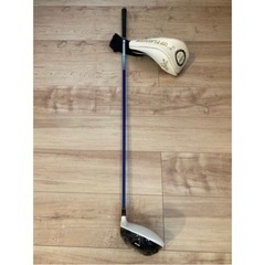 グランプリワンミニッツ　ドライバーの画像