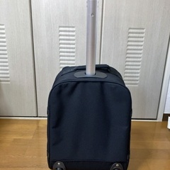 SQのキャリーバッグの画像