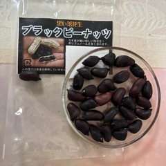 黒落花生種