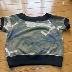 短Tシャツ　Mサイズの画像