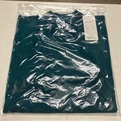 K2404-884 BELLUNA ニット ターコイズ ３L  ...