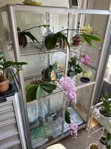 家具 ミラー/鏡