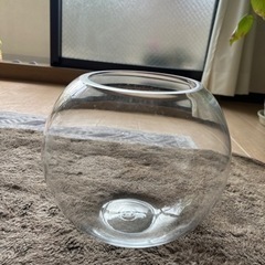 メダカ、金魚、水草、花瓶