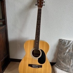 楽器 弦楽器、ギター