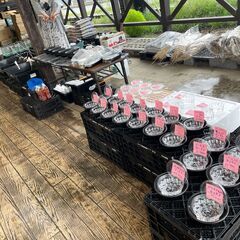 埼玉県のプラ舟 その他の中古が安い！激安で譲ります・無料で