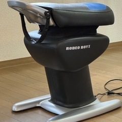 ロデオボーイII ジョーバおばーちゃんの筋トレ用に！家電 美容家...