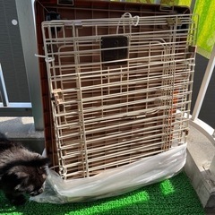 犬のゲージ