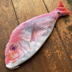 お魚ペンケースの画像