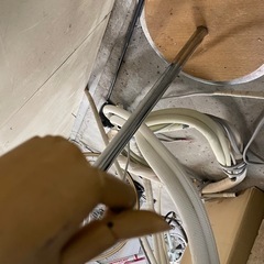 無料 トルソーの画像