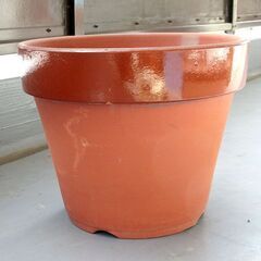 大きい植木鉢　素焼　12号