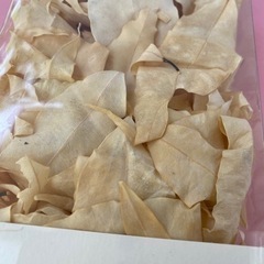 ドライリーフ ドライフラワー コーヒーカラーの画像