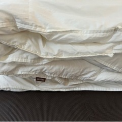 掛け布団　シングル　ニトリ