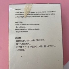 ドライリーフ ドライフラワー オフホワイト の画像