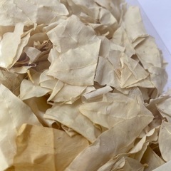 ドライリーフ ドライフラワー オフホワイト の画像