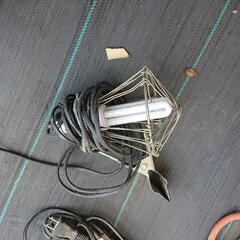 100V  ライト