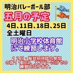 バレーボールしましょ‼️