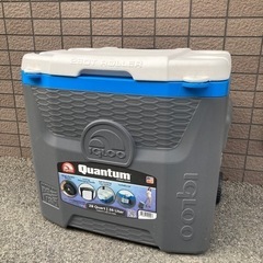 【お譲り先決まりました】クーラーボックス26Lの画像