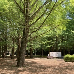 よよぎ推手講【代々木公園】よこはま推手講【横浜】の画像