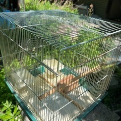 鳥カゴ　鳥ケージ　生活雑貨 家庭用品 ガーデニング