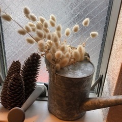 ラグラス　バニーテール　穂の画像