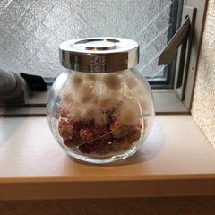 ラグラス　バニーテール　穂の画像