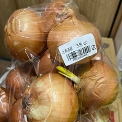 受け渡し者【決定】①北海道産玉ねぎ12個（訳あり品）無料！