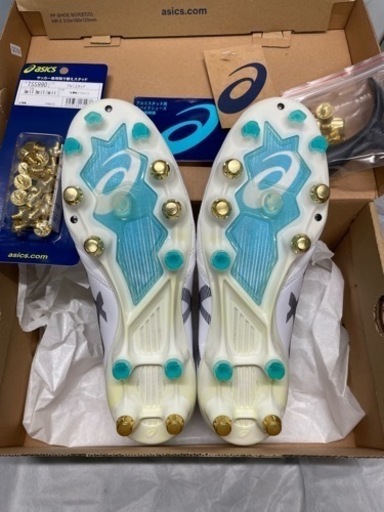 ASICS DS LIGHT X-FLY PRO ST 26.0 未使用