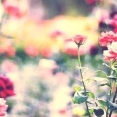 趣味が同じなお友達が欲しい！