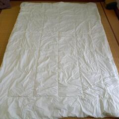 肌掛け布団2枚セット寝具