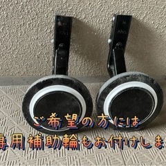 キッズバイクd-bike Master 14インチの画像