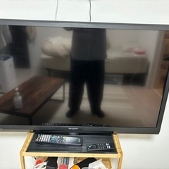 テレビ
