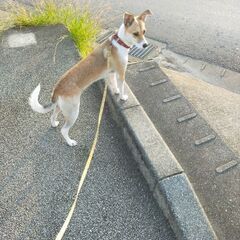 助けて下さい