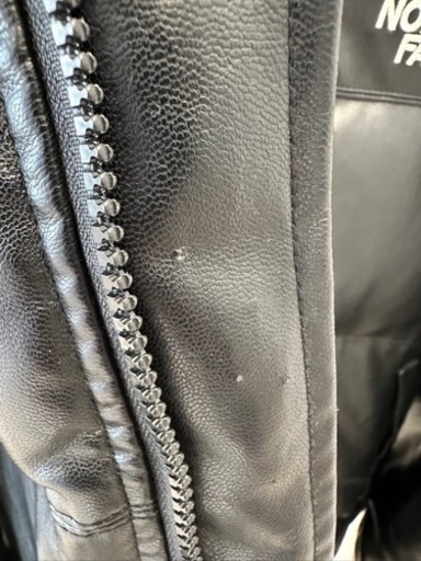 Supreme / The North Face® Leather Nuptse