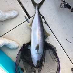 釣り