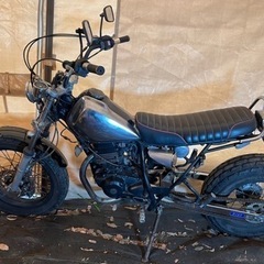 ヤマハ tw200の画像