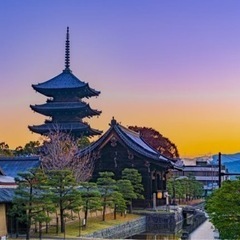 5/25京都東寺→水族館→梅小路公園ランチ