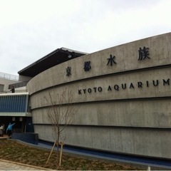 5/25京都東寺→水族館→梅小路公園ランチ - 友達