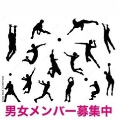 男女混合バレーボールのメンバー募集です。